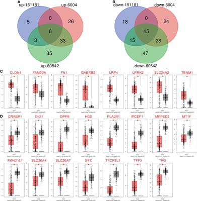 Screening and validation of lymph node metastasis risk-factor genes in papillary thyroid carcinoma